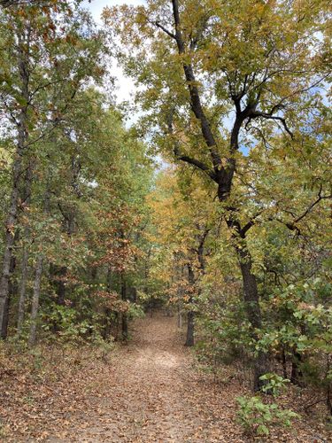 Best Hikes And Trails In Joseph H. Williams Tallgrass Prairie Preserve ...