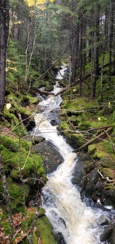 Goose River Trail: 296 fotos - Nuevo Brunswick, Canadá