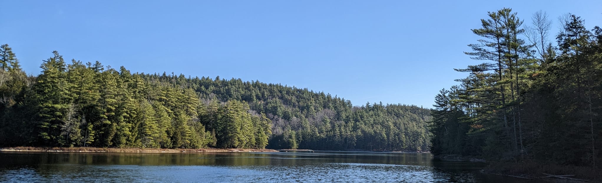 Bass Lake Trail 10 Photos État de New York Randonnée AllTrails