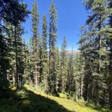 Bowman's Shortcut Trail , Colorado - 259 Reviews, Map | AllTrails