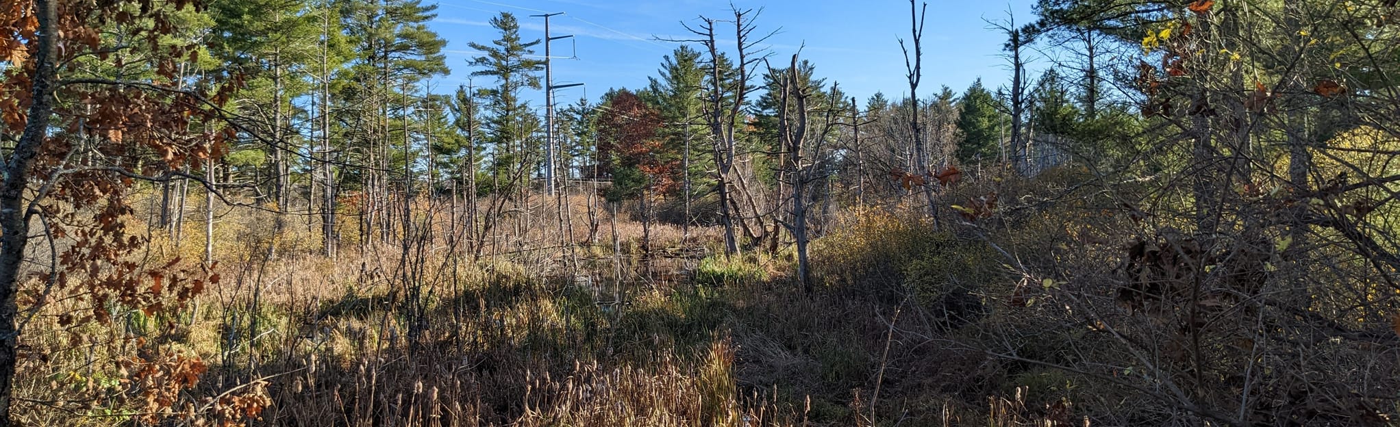 Gorham Cross Town Trail Map, Guide Maine AllTrails