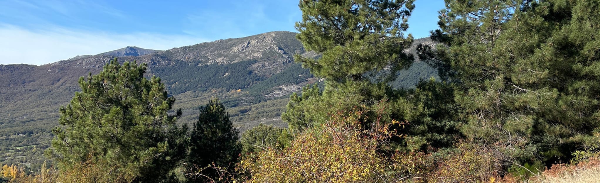 Bustarviejo Cabeza de la Braña Puerto de Canencia 19 Reviews, Map