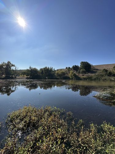 2023 Best 10 Trails and Hikes in Hayward | AllTrails