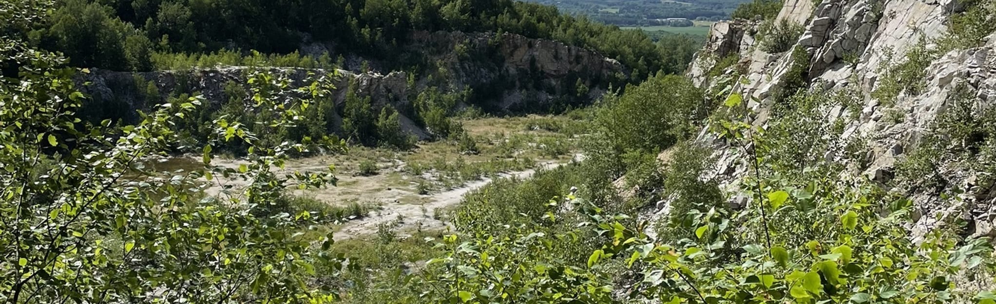 Rib Mountain Quarry Trail, 229 Fotos Wisconsin AllTrails