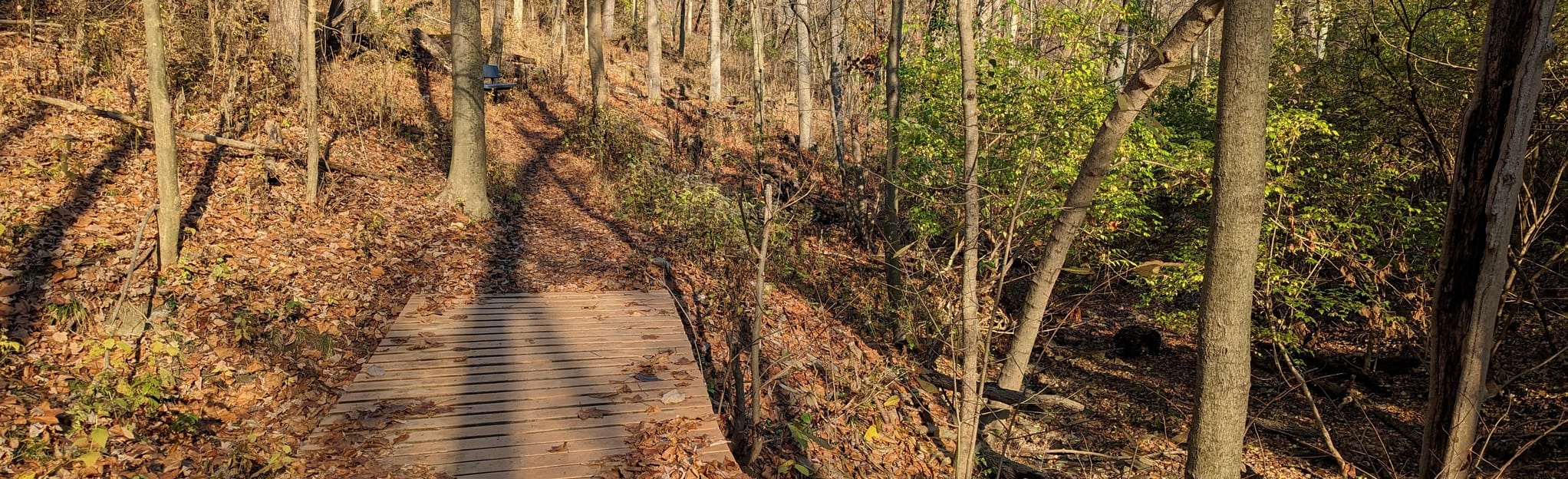 Highland Hills Park Loop Kentucky AllTrails