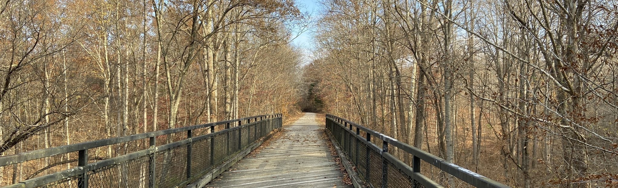 Tunnel Hill State Trail 82 Reviews, Map Illinois AllTrails