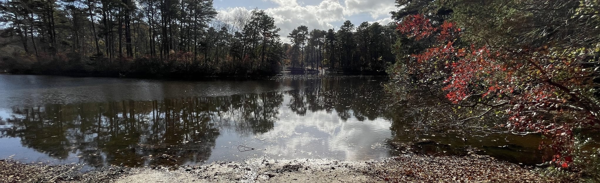 Winding River Park Trail, New Jersey 442 Reviews, Map AllTrails