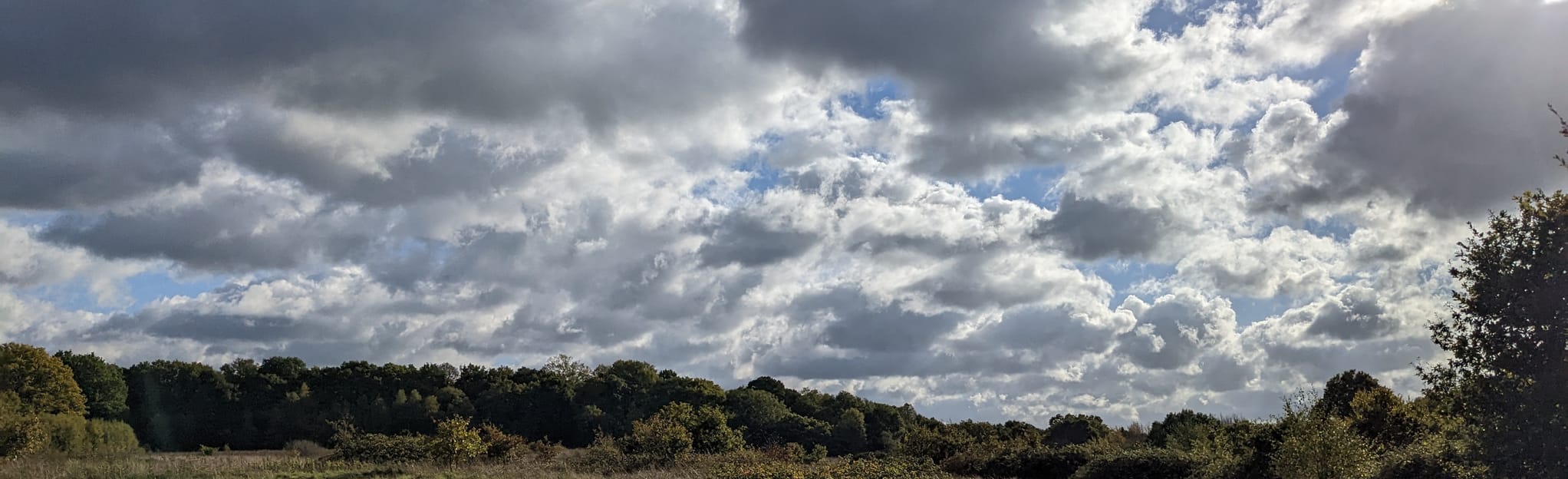 Southwood Lane and Fleet Pond Circular, 30 Fotos Hampshire