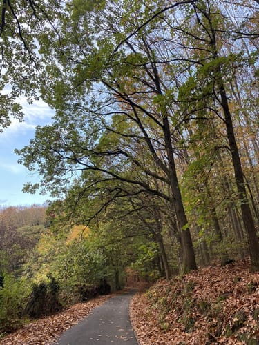Rundwanderweg Turnerbrunnen 5: Hoher-Nistler-Weg