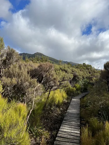10 Best Hikes and Trails in Tararua Forest Park | AllTrails