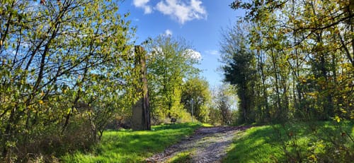 Zur Ölmühle am Lambertsbach