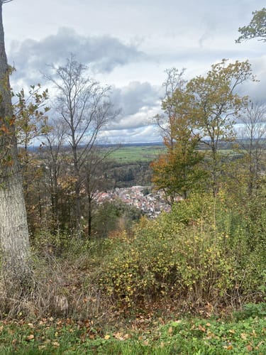 Sulzer Grenzsteinweg