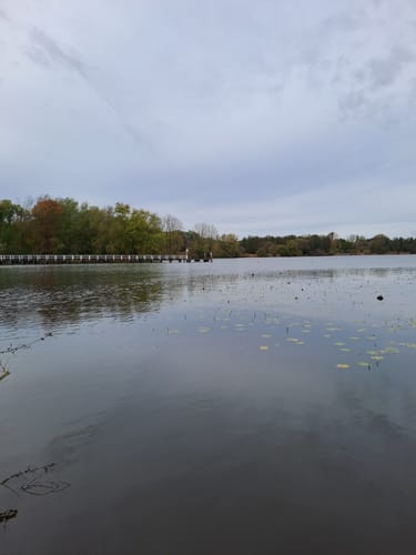 Zwischenahner Meerweg