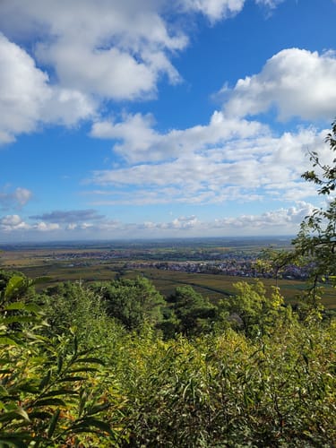 Deidesheim Highlights