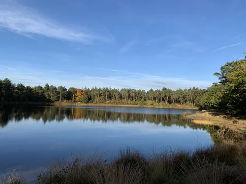 10 Best forest trails in Amersfoort | AllTrails