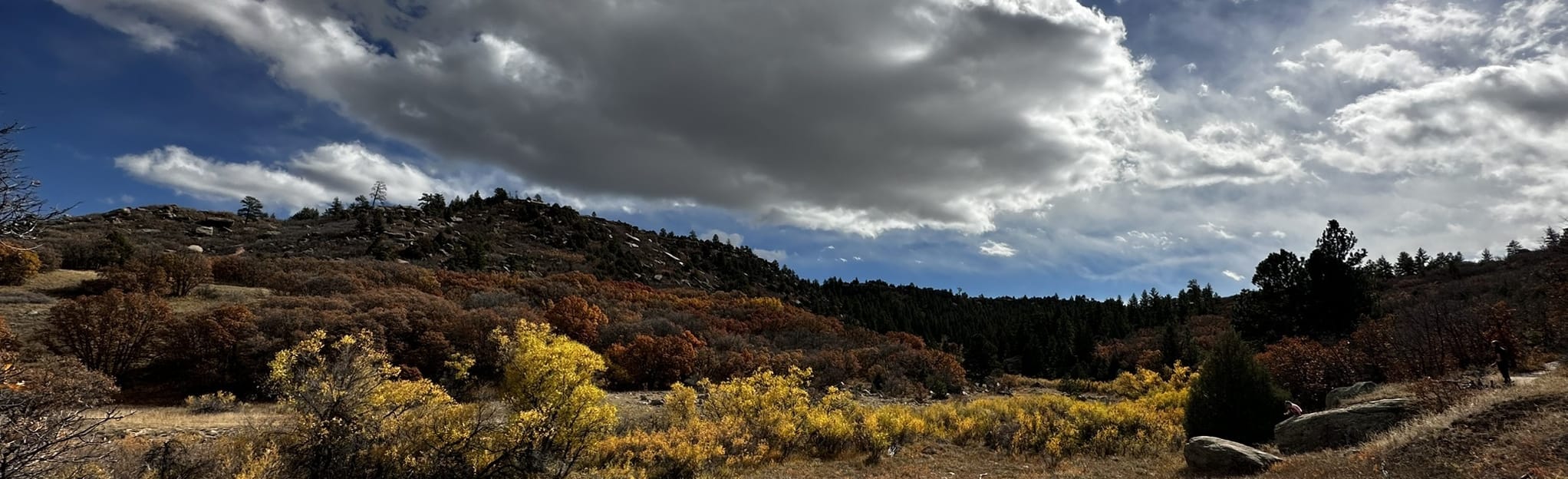 AllTrails Cherry Creek Trail Loop 280 Reviews, Map Colorado