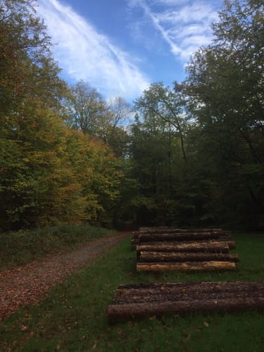 Rundwanderweg Groß-Bieberau Heidekopf 5: Tal-Weg