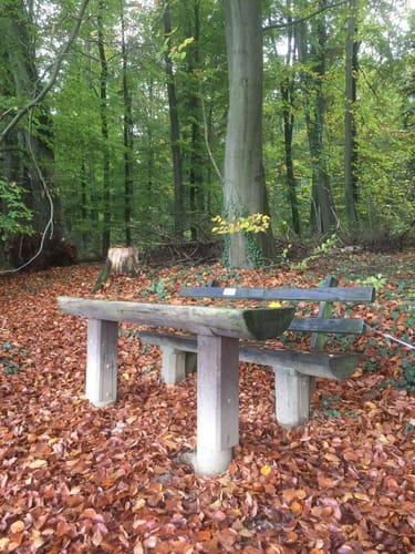 Rundwanderweg Groß-Bieberau Heidekopf 5: Tal-Weg