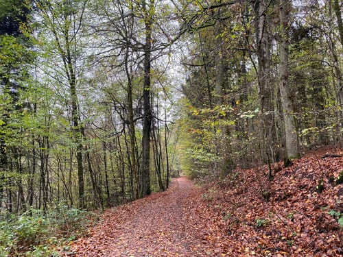Hüttenwanderweg (Premiumwanderweg)