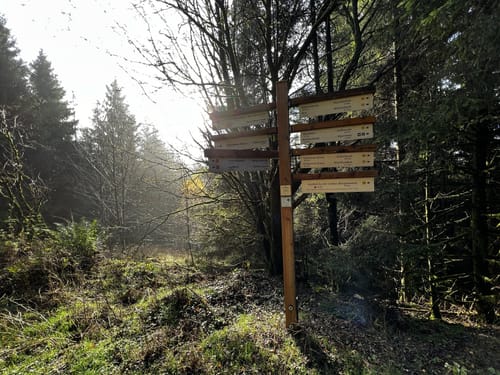 Oberhundemer Bergtour (Premiumwanderweg)