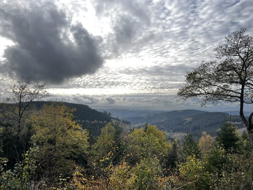 Oberhundemer Bergtour (Premiumwanderweg)