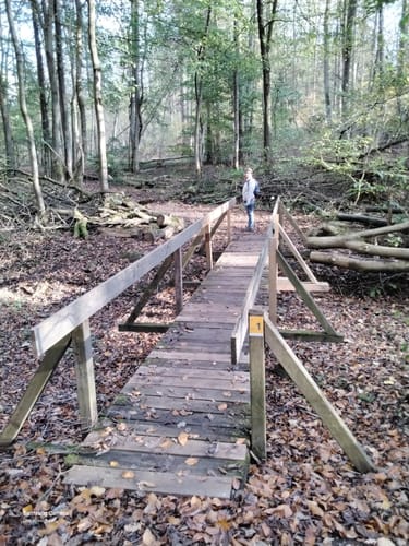Weg der Selbstzuwendung