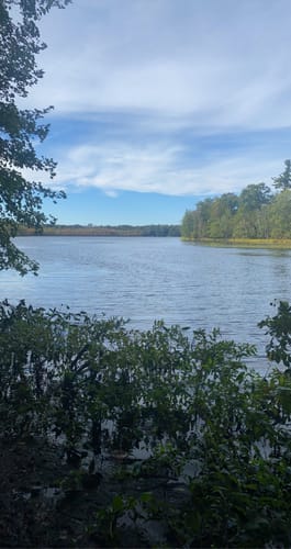 beaver lake nature center jobs