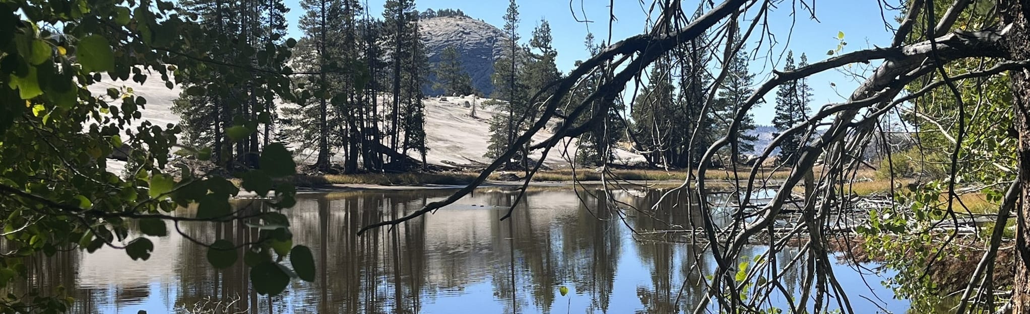 Merced Lake Loop Trail 14 Reviews, Map California AllTrails