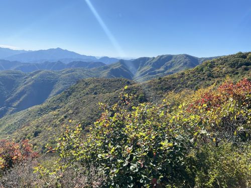 Best Hikes and Trails in Miaofeng Mountain Scenic Area | AllTrails