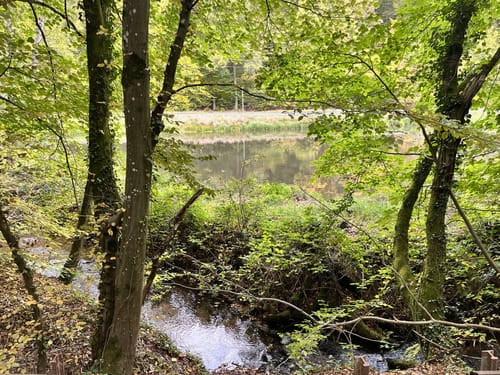 Eiswoog Bockbachtal
