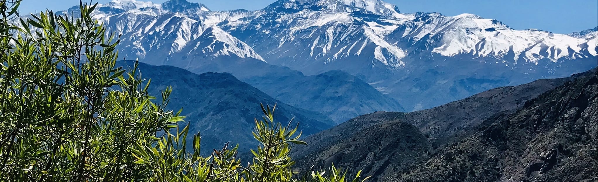 Cerro Provincia: 111 foto - Santiago, Cile | AllTrails