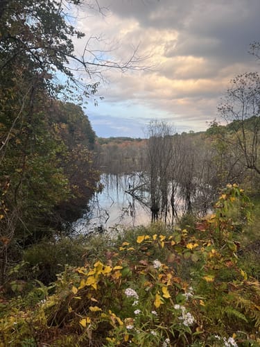 Escape To Tranquility: Trout Brook Valley State Park Reserve, Your Connecticut Oasis