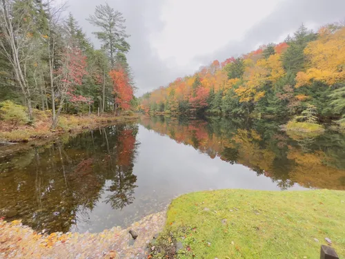 2023 Best Paddle Sports Trails in Otter Lake | AllTrails