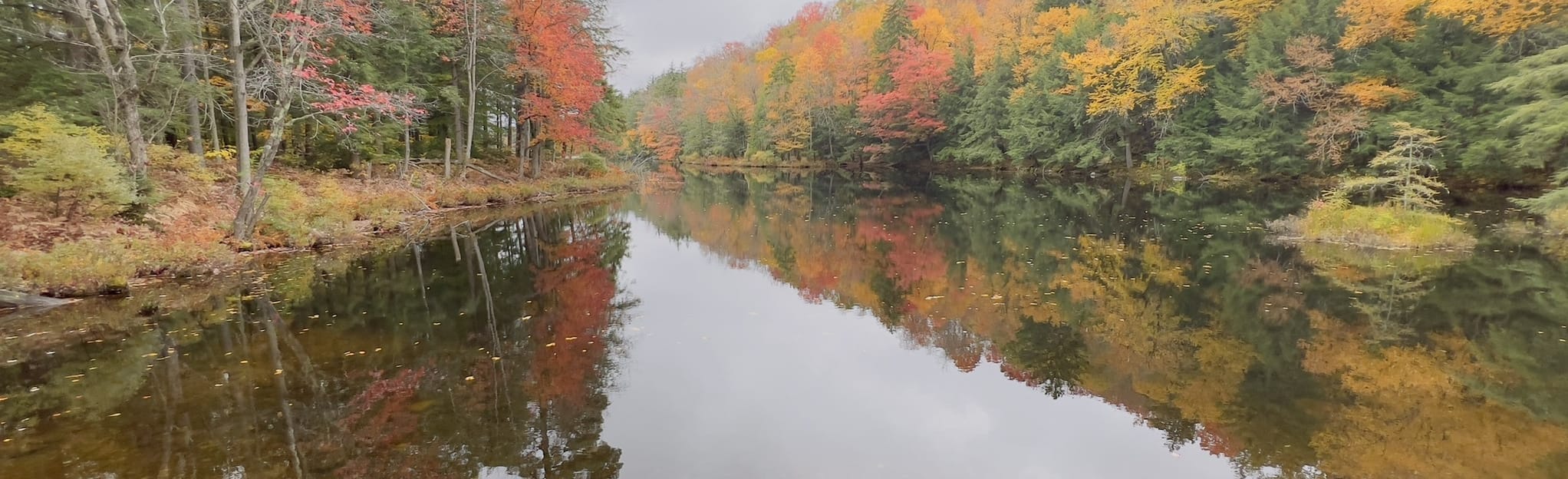 Brandy Lake Trail, New York 48 Reviews, Map AllTrails
