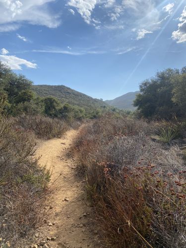 2023 Best 10 Trails And Hikes In Lake Elsinore 