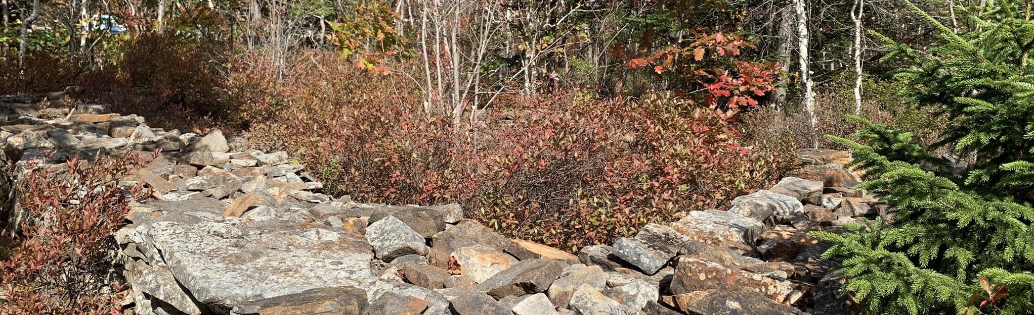 Bayers Lake Mystery Wall Trail 6 Reviews, Map Nova Scotia, Canada