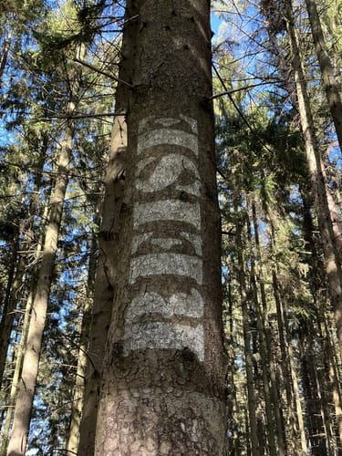 Spessartbogen Etappe 2: Horbach - Bad Orb