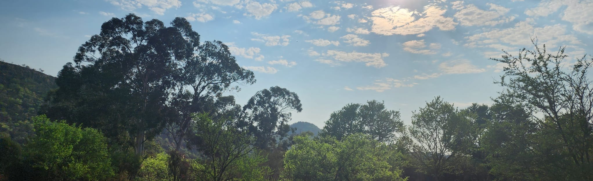 Faerie Glen Nature Reserve Loop, Gauteng, South Africa 75 Reviews