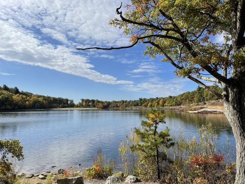 Best 10 Hikes and Trails in High Point State Park | AllTrails