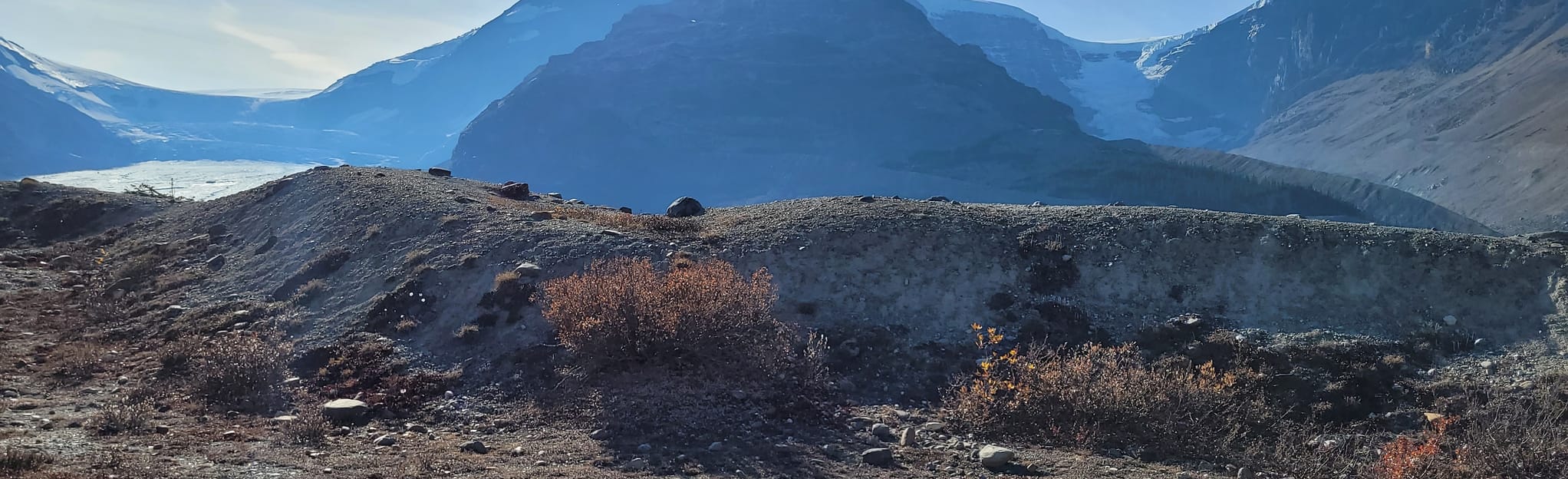 Forefield Trail of the Athabasca Glacier 100 Reviews, Map Alberta