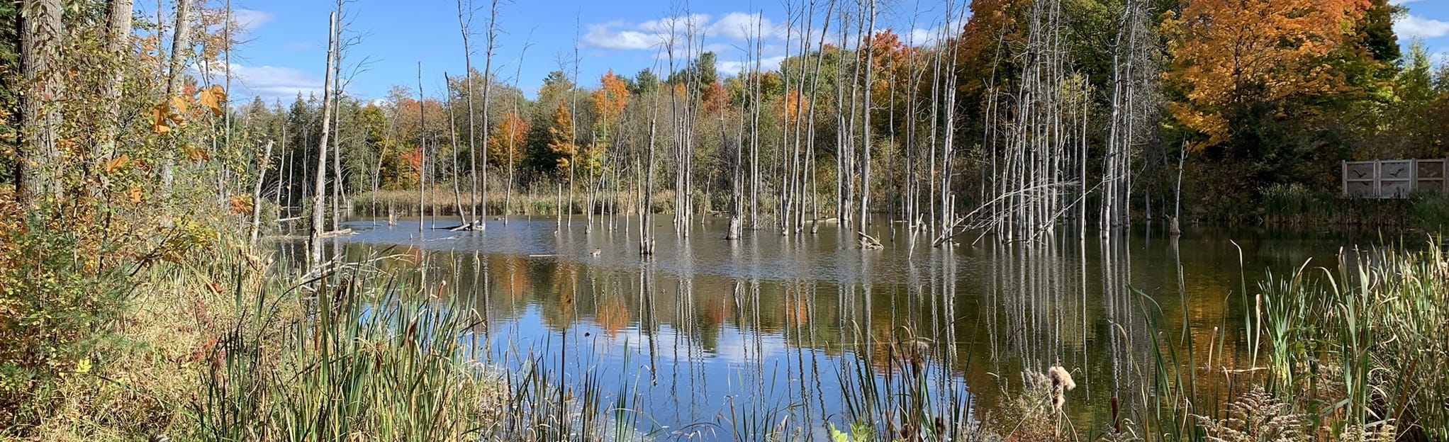 Kizell Pond Trail via Devonian Park 18 Reviews, Map Ontario, Canada