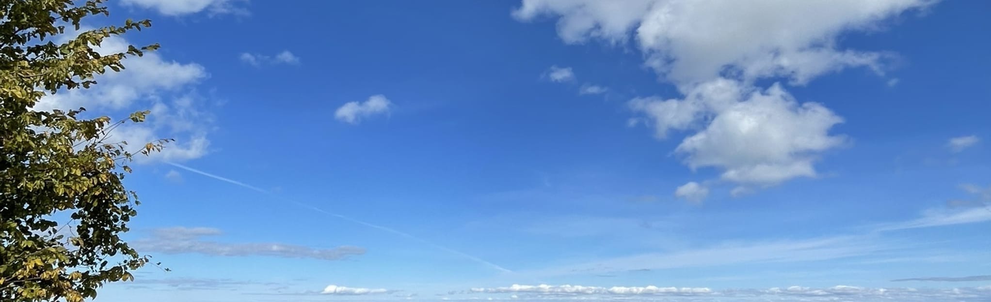 Singhampton Caves Trail 870 Reviews, Map Ontario, Canada AllTrails