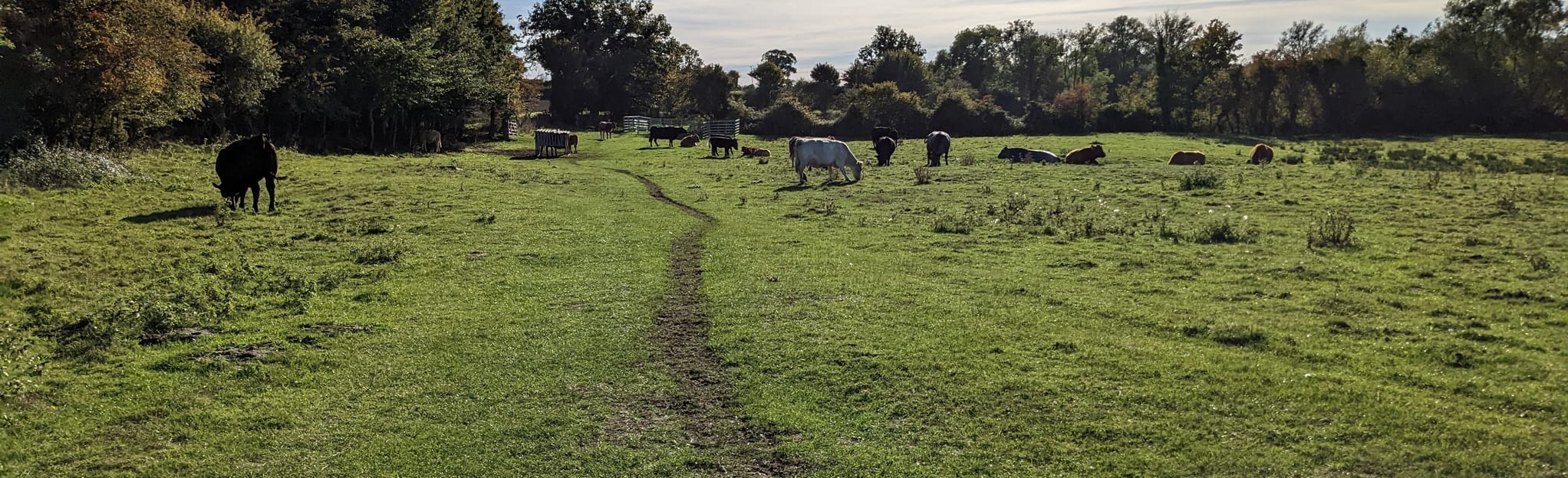 Mulbarton and Swardeston via Upper Tass Valley Walk 49 foto's Norfolk, Engeland AllTrails