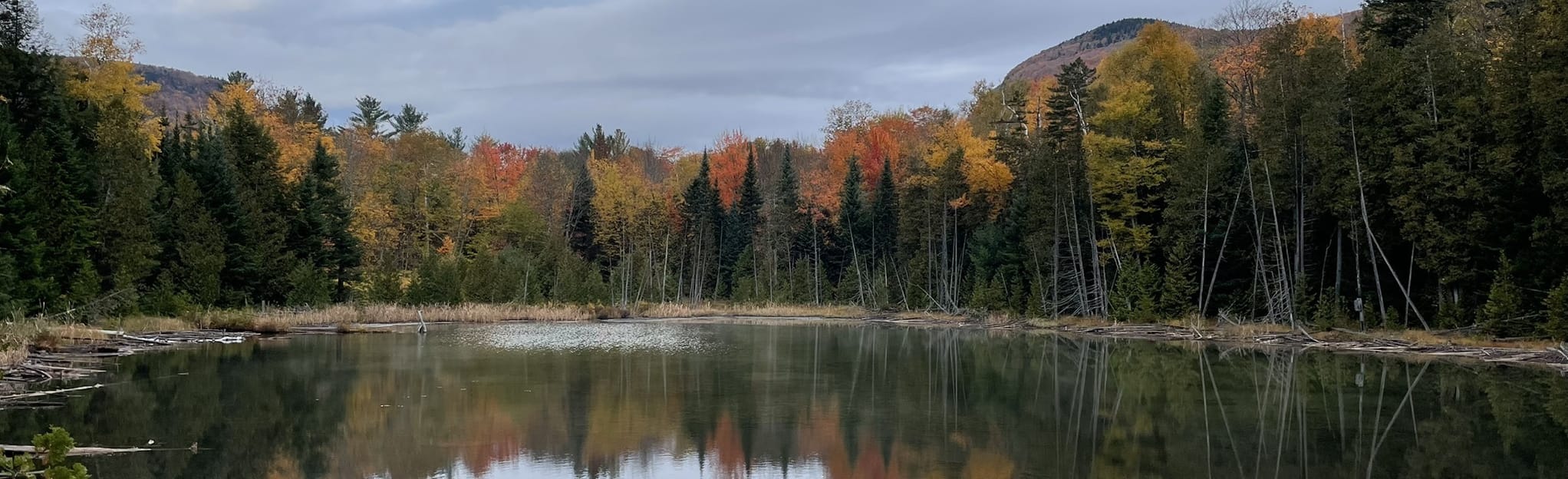 Mount Pisgah Trail 1 322 Reviews - EyJidWNrZXQiOiJhc3NldHMuYWxsdHJhaWxzLmNvbSIsImtleSI6InVwbG9hZHMvcGhvdG8vaW1hZ2UvNTMwNDExMTMvMmQwMTY1MmYxNzQ3YTY4NmFhZTA0OWZmOTE2NDA3MDYuanBnIiwiZWRpdHMiOnsidG9Gb3JtYXQiOiJqcGVnIiwicmVzaXplIjp7IndpZHRoIjoyMDQ0LCJoZWlnaHQiOjYyNCwiZml0IjoiY292ZXIifSwicm90YXRlIjpudWxsLCJqcGVnIjp7InRyZWxsaXNRdWFudGlzYXRpb24iOnRydWUsIm92ZXJzaG9vdERlcmluZ2luZyI6dHJ1ZSwib3B0aW1pc2VTY2FucyI6dHJ1ZSwicXVhbnRpc2F0aW9uVGFibGUiOjN9fX0=