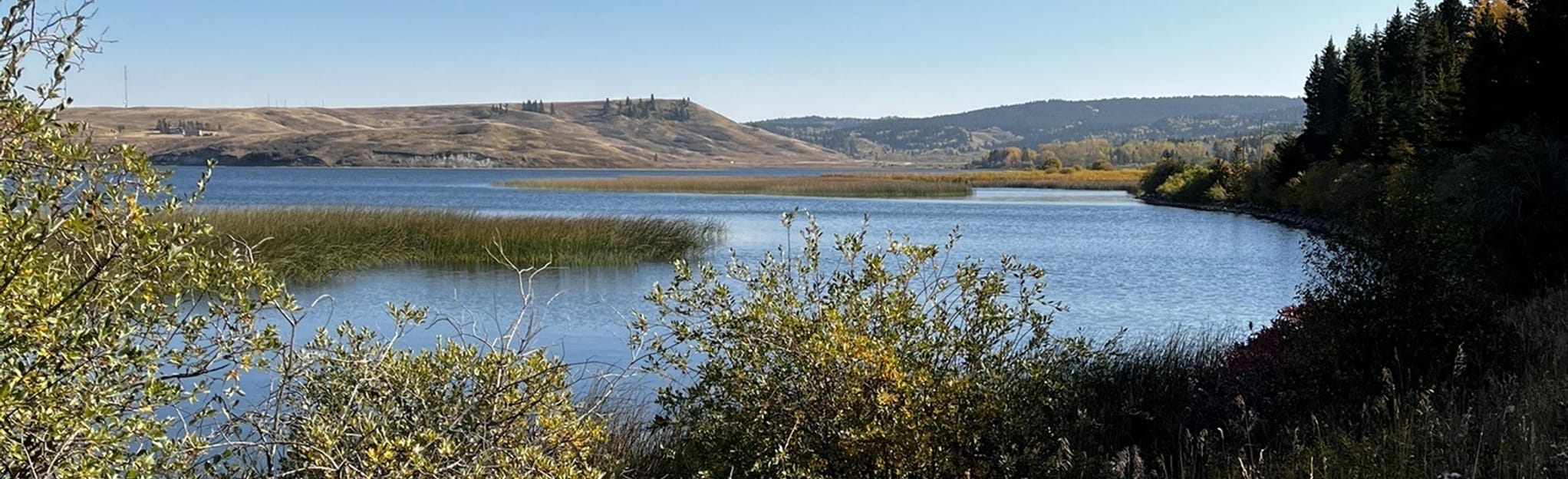 Elkwater Lake Soggy Bottom, Shoreline and Sunset Trail 42 Reviews