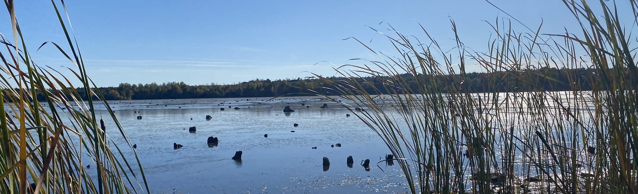 Mountsberg North Trail Loop: 86 Reviews, Map - Ontario, Canada | AllTrails