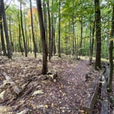 Hickory Creek Wilderness Trail, Pennsylvania - 370 Reviews, Map | AllTrails