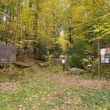Hickory Creek Wilderness Trail, Pennsylvania - 370 Reviews, Map | AllTrails