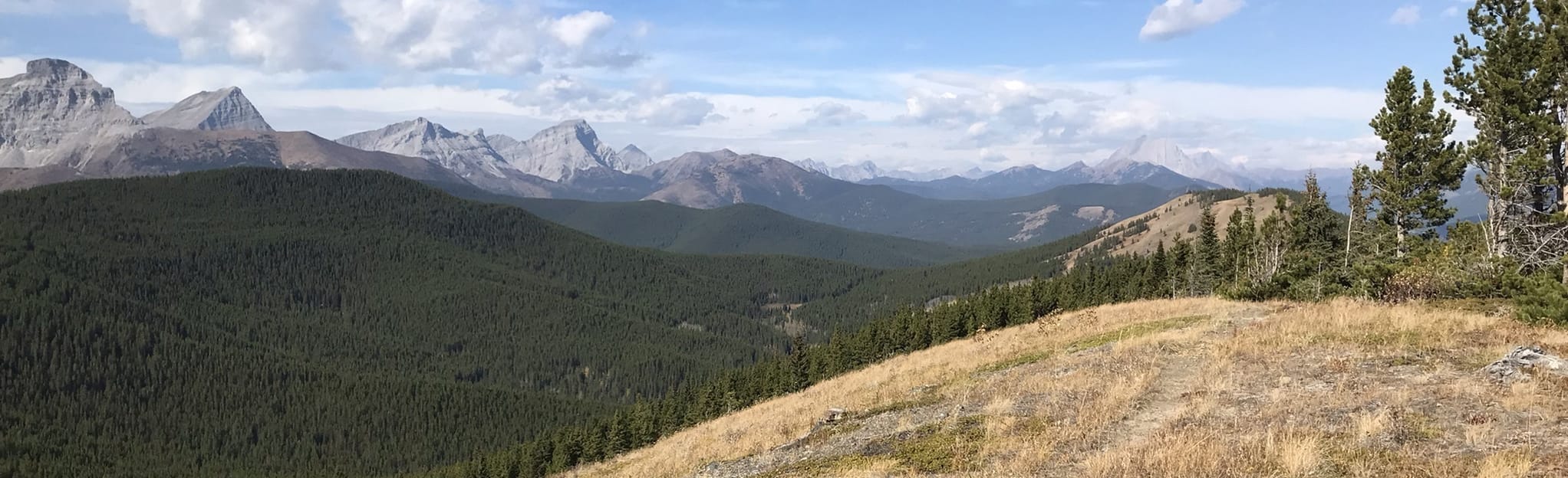 Strawberry Hills via Fitzsimmons Creek Trail Alberta, Canada AllTrails