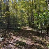 Water Tank and Rattling Run Trail Loop via Appalachian Trail ...